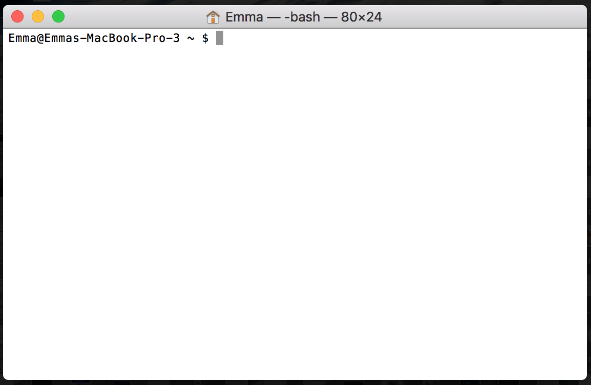 A terminal window